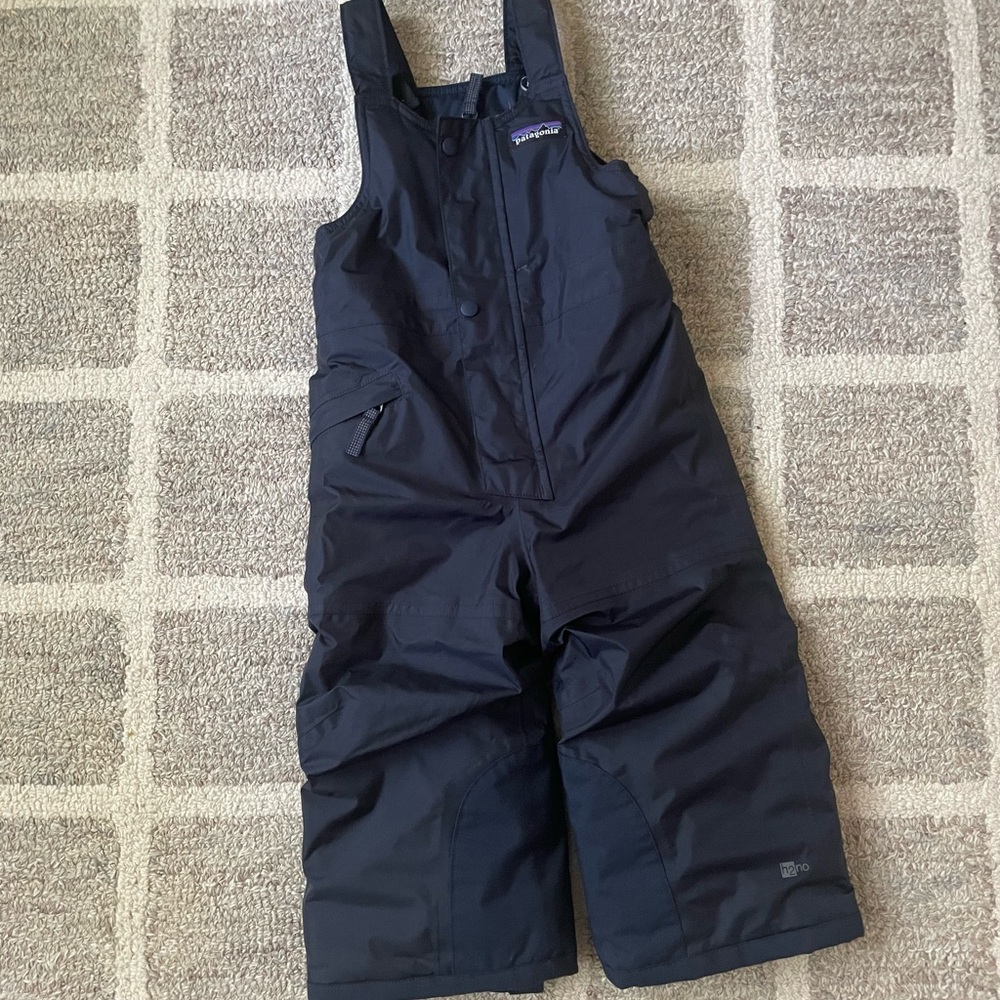 Patagonia Snow Pile Bib Overalls